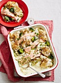 Salmon and Fennel Gratin