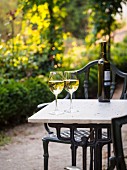 Zwei Gläser Albarino Weißwein, serviert im Garten eines der Weingüter in Galizien, Spanien