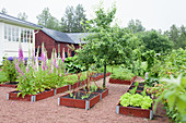 Hochbeete mit Blumen und Gemüse im Garten