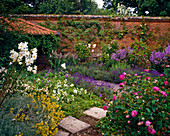Gartenansicht mit Rosen, Madonnenlilie und Lavendel