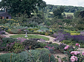 Colour garden with various perennials