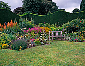 Perennial bed with Lysimachia Punctata, Geranium