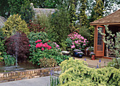 Garten mit Rhododendron und Teich