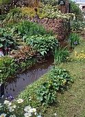 Brook and Hosta, Iris, Liatris