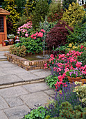 Garden with roses, rhododendron, lavender and acer