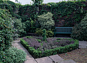 Inner courtyard with wild vine, box, sage