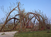 Children's castle made of willow