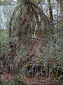 Woven throne of willow rods