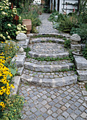 Garden steps and path