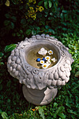 Cement bowl with flowers