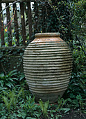 Clay pot