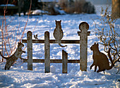 Iron fence with cats