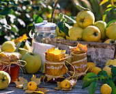 Quince jelly, Cydonia (quince), Chaenomeles (ornamental quince)