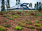 Greening roofs