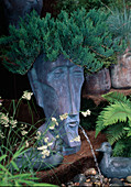 Bronzekopf bepflanzt mit Wacholder