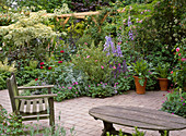 Seat in garden with Delphinium, Rose, Geranium