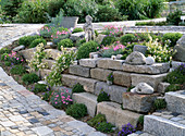 Rock garden with path made of granite stones, Dianthus (carnations)