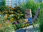 Sitzplatz an gelbem Beet mit Helianthus (Sonnenblumen)