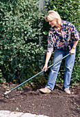 Planting a shade bed (1/9)