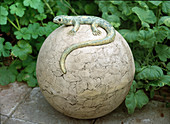Pottery ball with lizard as garden decoration