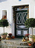 House entrance: Laurus (laurel trees), Erica