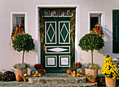 House entrance autumnal: Laurus (laurel)