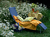 Deckchair next to Leucanthemum (daisy meadow), basket