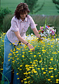 Junge Frau schneidet Blumen