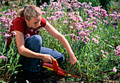 Young woman cutting