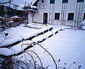 Buxus (verschneite Buchshecken) im Garten, Blick auf Terrasse