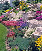 Rock garden on the hillside