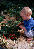 Child in strawberry pockets