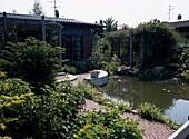 Pond garden with privacy screen