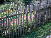 Wooden fence for the cottage garden
