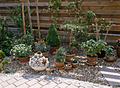 Flower pots between screen and terrace