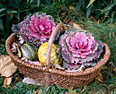 Basket with ornamental cabbage and pumpkins