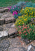 Natural stone stairs with