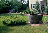 Wasser im Garten: Granitbrunnen, daneben Frauenmantel und Wieseniris