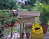 Balcony planting in spring