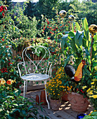 Rustic balcony: tomatoes, redcurrants