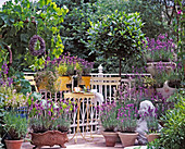 Balcony with Provencal flair = Lavandula