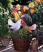 Basket with thymus and basil