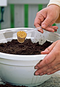 Step 3: Spreading permanent fertiliser