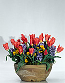 Tulip 'Dreamboat', Viola cornuta, Hyacinthus