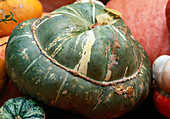 Ornamental pumpkin