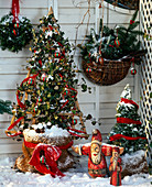 Christmas arrangement of Hedera Helix