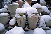 Terracotta pots in winter