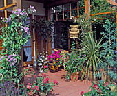 Terrace with potted plants