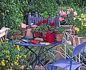 Potted balcony flowers and potted plants in spring