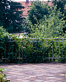 Terrasse ohne Bepflanzung vorher